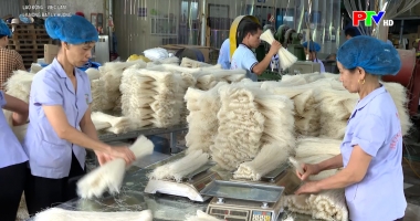 Lao động, việc làm – Ly nông bất ly hương