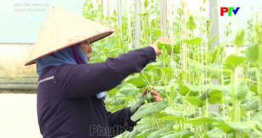 Nâng tầm thương hiệu - Vị ngọt từ lòng đất