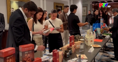 Phú Thọ ngày mới ngày 25-3-2026