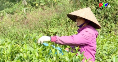 Phú Thọ ngày mới 4-01-2026