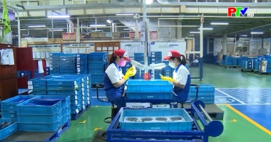 Phú Thọ ngày mới ngày 17-01-2026