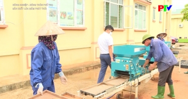 Nông nghiệp, nông thôn – Sản xuất lúa giảm phát thải