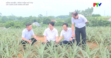 Nông nghiệp, nông thôn - Xây dựng quê hương đổi mới