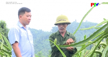 Nông nghiệp, nông thôn – Những khu vườn tạo giá trị kép