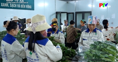 Phóng sự: Từ đồng ruộng đến không gian số