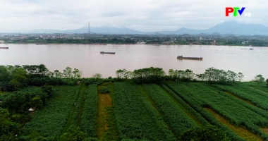 Phu Tho cultural express – Return to Tam Nong listening the land tells its story