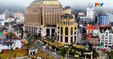 Phu Tho Cultural Express - Tam Dao in the mist