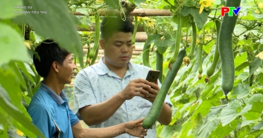 Bài toán tiêu thụ
