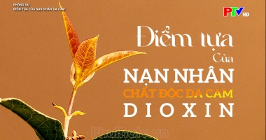 Điểm tựa của nạn nhân da cam