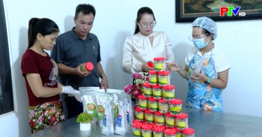 Cải tiến mẫu mã để nâng cao giá trị các sản phẩm OCOP