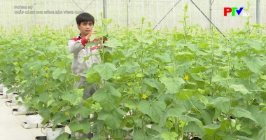 Chắp cánh cho nông sản vùng cao