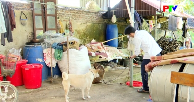 Phòng chống bệnh dại – Vì một cộng đồng an toàn