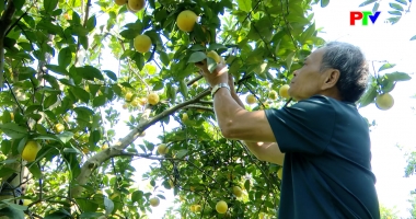 Hành trình xây dựng nền sản xuất xanh