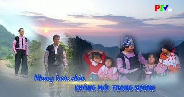 Những bước chân không mỏi trong sương