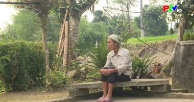 PTV kết nối yêu thương ngày 21-03-2026