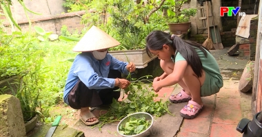 PTV kết nối yêu thương ngày 25-7-2026