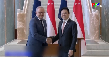 Bản tin quốc tế 11h45 ngày 24-3-2026