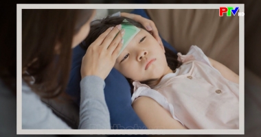 Hành trang sức khỏe: Vắc-xin sốt xuất huyết