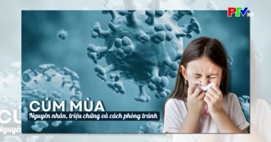 Hành trang sức khoẻ - Bệnh cúm mùa