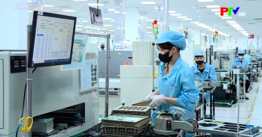 Tài nguyên và môi trường: Công nghiệp xanh – giá trị bền vững