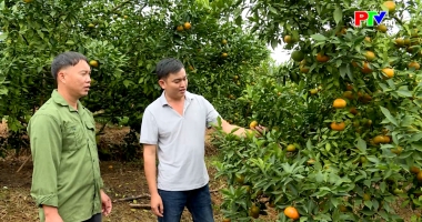 Tạp chí dân tộc, miền núi và phát triển - Trái ngọt nơi đất khó