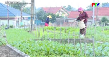 Tạp chí thông tin kinh tế ngày 19-10-2025