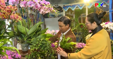 Thi đua yêu nước: Hoàng An - sức bật từ phong trào thi đua yêu nước