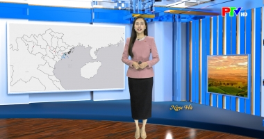 Dự báo thời tiết ngày 8-1-2026