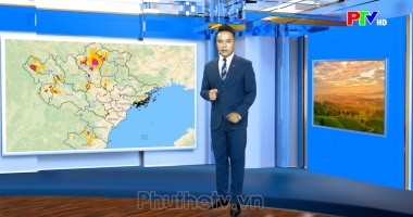 Dự báo thời tiết ngày 08-08-2026