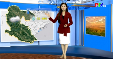 Dự báo thời tiết ngày 25-01-2026