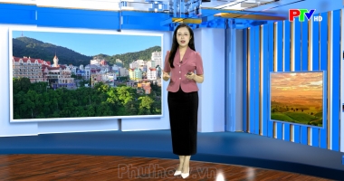 Dự báo thời tiết ngày 12-05-2026