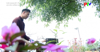 Thức ngon Đất Tổ - Lợn bản nướng hạt dổi