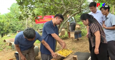 Cuộc sống thường ngày 25-05-2026