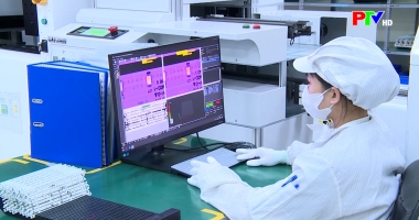 Bản tin tiếng Anh - Phu Tho News ngày 25-01-2026