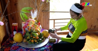 Bản tin tiếng Anh - Phu Tho News ngày 22-02-2026