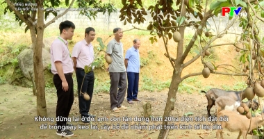 Tiếng Mường - “Cầu nối” đưa tín dụng chính sách đến gần dân
