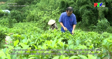 Tiếng Mường - Những ngọn lửa không tắt