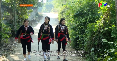 Tiếng Thái - Lưu giữ những bài thuốc gia truyền của đồng bào DTTS