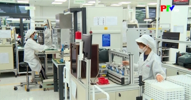 Thị trường tiêu dùng ngày 4-4-2026