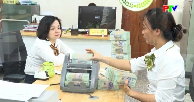 Thị trường tiêu dùng ngày 16-06-2026