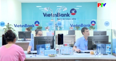 Thị trường tiêu dùng ngày 28-07-2026