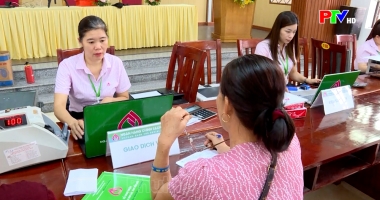 Thị trường tiêu dùng ngày 02-08-2026