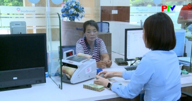 Thị trường tiêu dùng ngày 25-1-2026