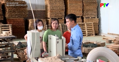 Các vấn đề xã hội: Việc làm mới - Thách thức cũ