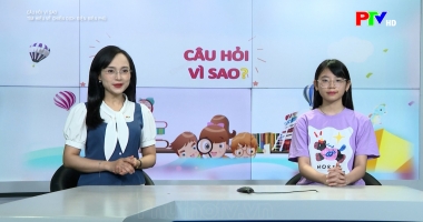 Dành cho thiếu nhi: Câu hỏi vì sao - Tìm hiểu về chiến dịch Điện Biên Phủ