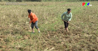 Chuyên đề khoa giáo - Nguy cơ tái nghèo vùng khó khăn