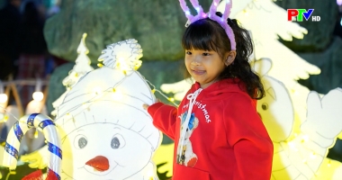 Khoảnh khắc cuộc sống ngày 29-12-2025