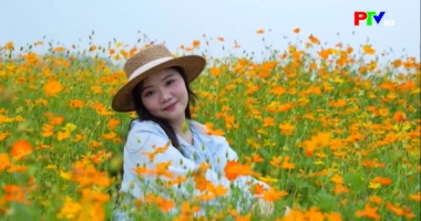 Phú Thọ ngày mới ngày 02-07-2026