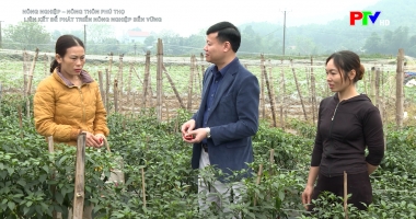 Nông nghiệp, Nông thôn - Liên kết để phát triển nông nghiệp bền vững