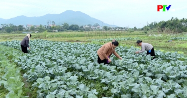 Bản tin 18h30 ngày 13-01-2026